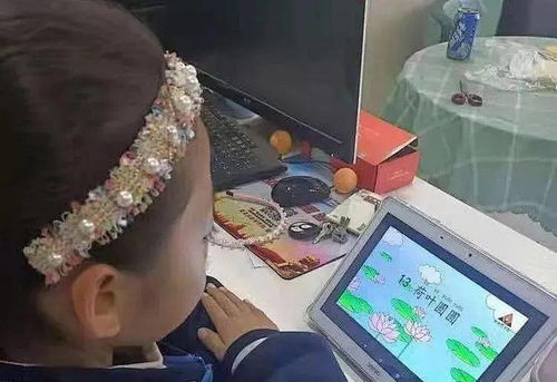 心得體會篇 二 基于網絡學習空間環境的語文教學實踐