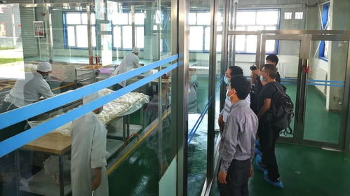 深化教學科研合作 助力馕產業升級——江南大學食品學院赴新疆克州考察調研